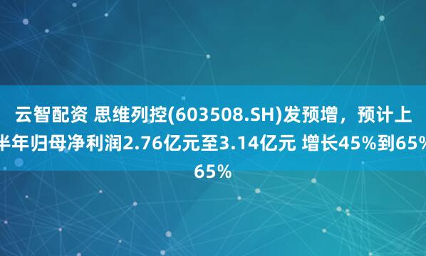 云智配资 思维列控(603508.SH)发预增，预计上半年归母净利润2.76亿元至3.14亿元 增长45%到65%