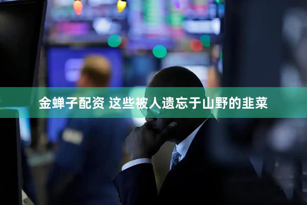 金蝉子配资 这些被人遗忘于山野的韭菜